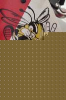 CARRILLO CBR